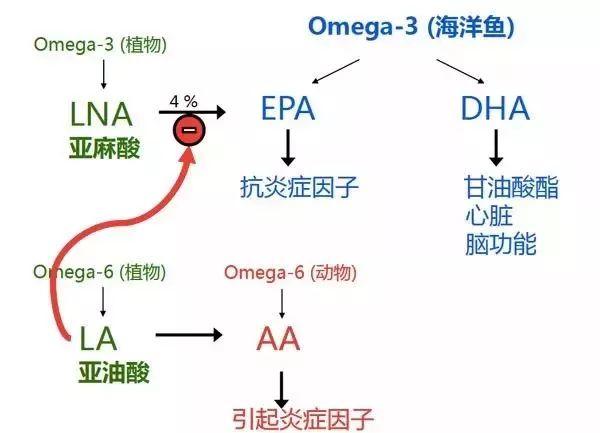 如新华茂™维生素E鱼油软胶囊