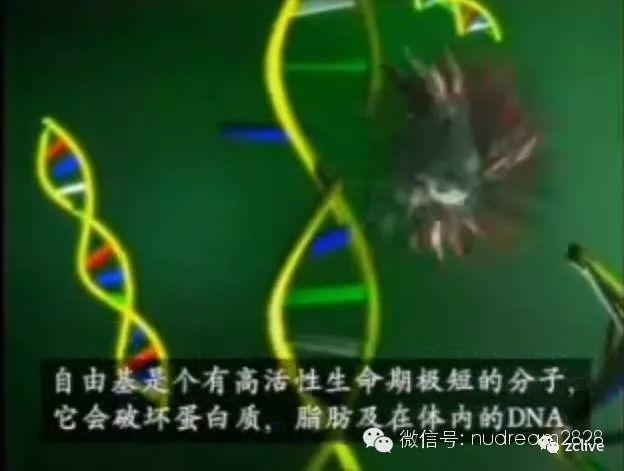 如沛：世界级的全面营养补充品