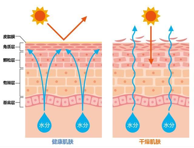 三张图马上get√ 干燥敏感肌的日常护理指南