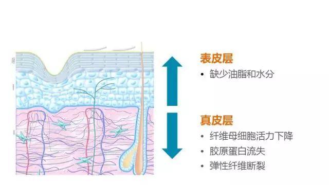 焕肤，唤醒肌肤年轻态