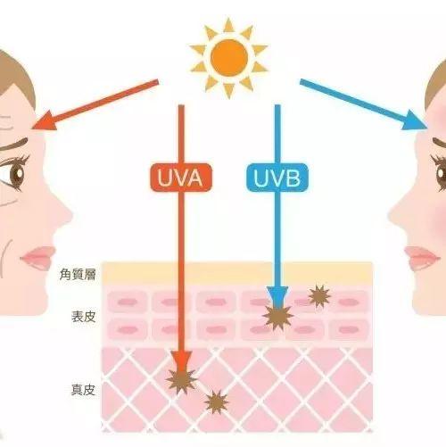 想要健康美白的肌肤，这一步您做到位了么？