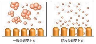 为什么G3一夜之间刷爆了朋友圈？来自“天堂”的水果