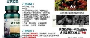 如新灵芝胶囊是如何炼成的