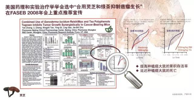 NU SKIN如新华茂™茶沛胶囊