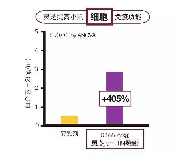 灵芝的主要应用及临床评价