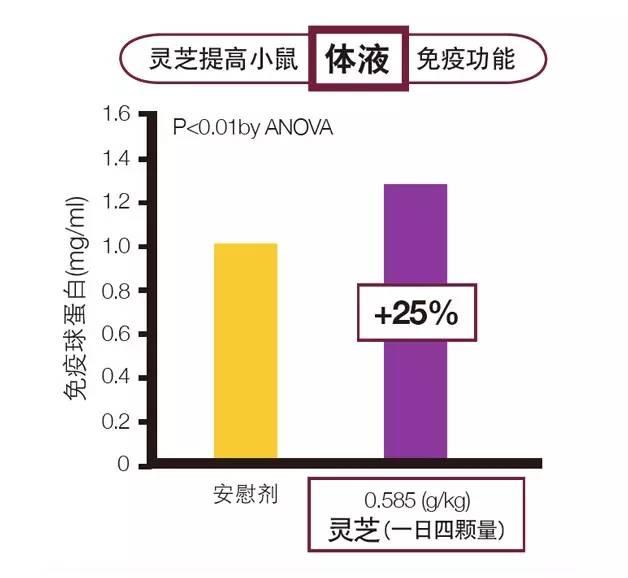 灵芝的主要应用及临床评价