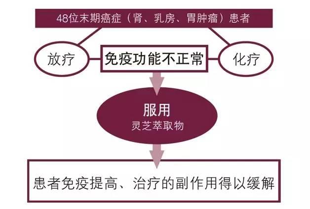 灵芝的主要应用及临床评价