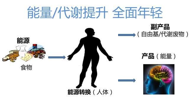 经常熬夜，感到不再年轻？您也许需要它