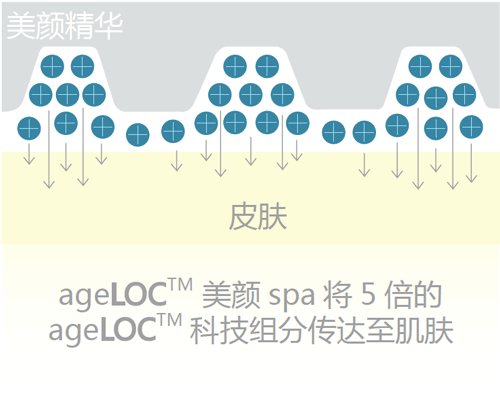 你所不了解的Spa机（知识篇）