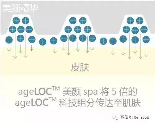 如新Face SPA机使用说明中文版