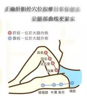美颜SPA机+美体SPA机全套教学视频（13）纤腿