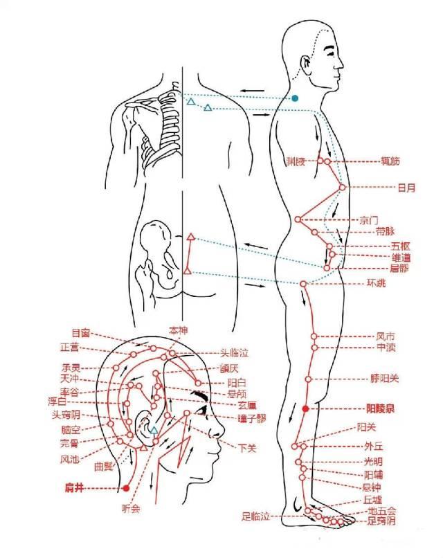美颜SPA机+美体SPA机全套教学视频（13）纤腿