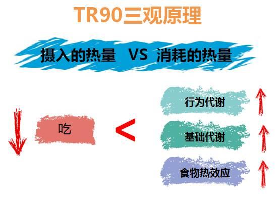 为什么要使用TR90，听专家谈“选择TR90的三大理由”