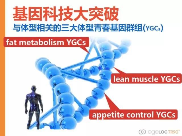 什么叫 TR90？ TR90 是计划不是产品