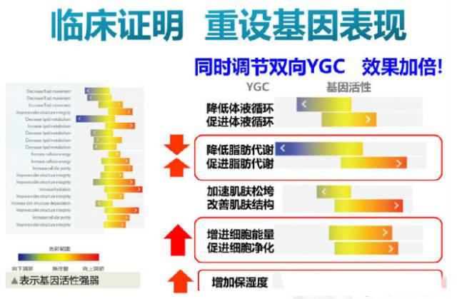 NU SKIN如新美体SPA机介绍与操作