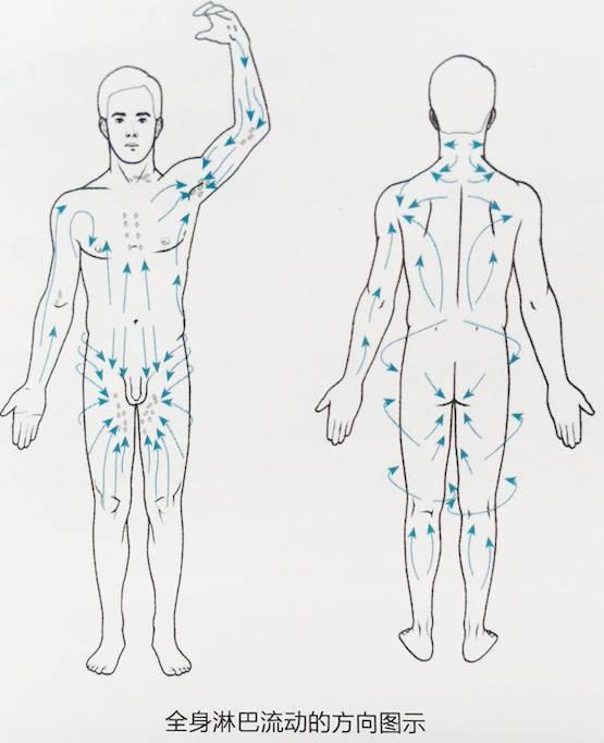 NU SKIN如新美体SPA机介绍与操作