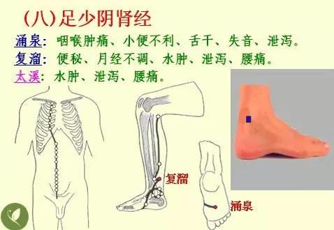 NU SKIN如新SPA机-经络穴位详解