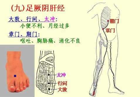 NU SKIN如新SPA机-经络穴位详解