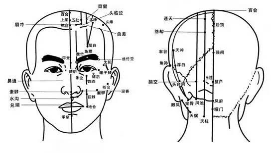 NU SKIN如新SPA机-经络穴位详解