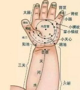 NU SKIN如新SPA机-小儿推拿穴位详解