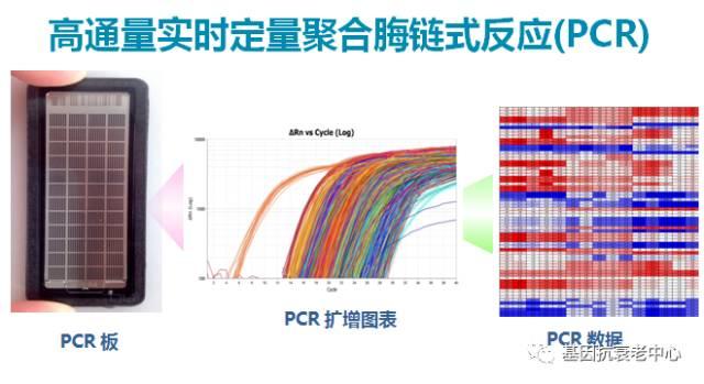 ageloc#me#ageloc me#私人订制#淡斑#美白#紧致#收缩毛孔