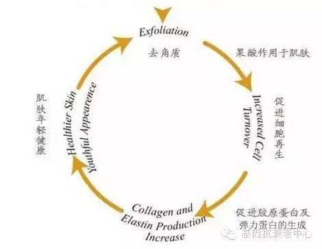 NU SKIN如新®180°焕彩系列—肌肤再生