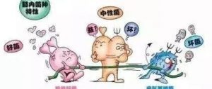 如新华茂牌益生菌固体饮料针对长痘、长斑； 口臭；尿黄、便秘有妙用！