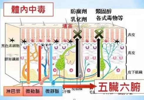 NU SKIN让你远离经皮毒的危害！