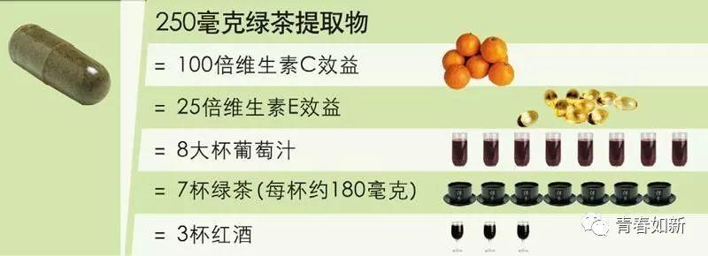 如新华茂茶沛胶囊（如何吃出免疫力？）