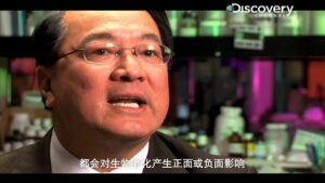 探索频道-《人类基因解码》