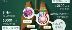 朗润舒-呼吸那些事儿