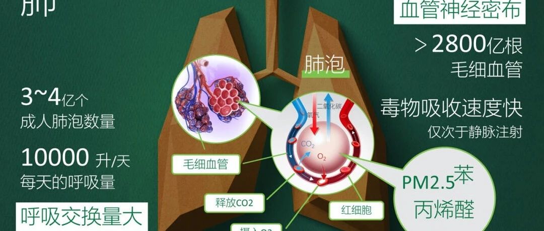 朗润舒-呼吸那些事儿