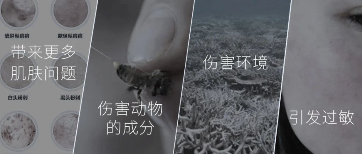 深度解析“荟萃优质 纯然无暇”
