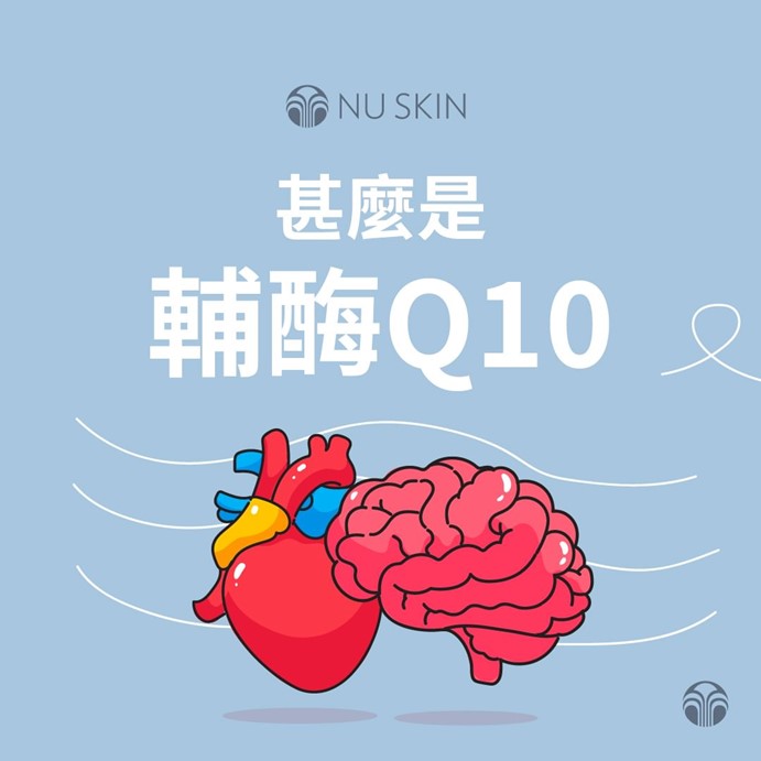 輔酶 Q10 究竟是什麼呢？